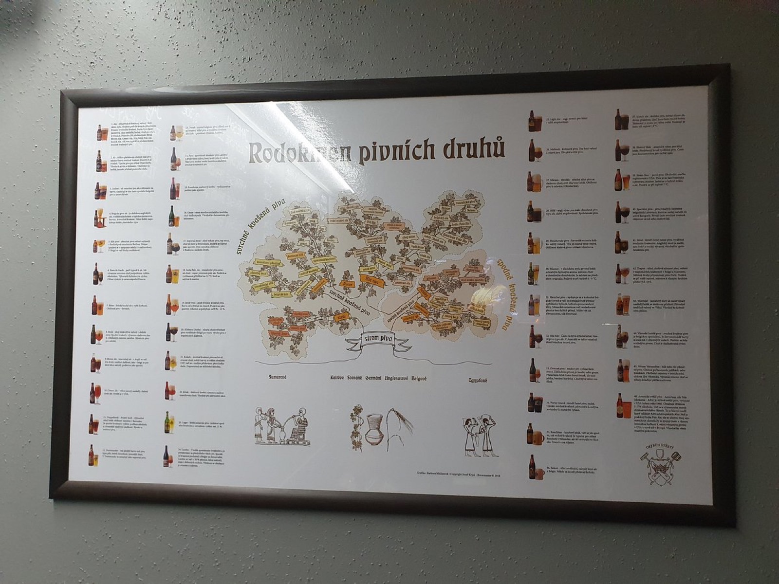 Rodokmeň pivných druhov
